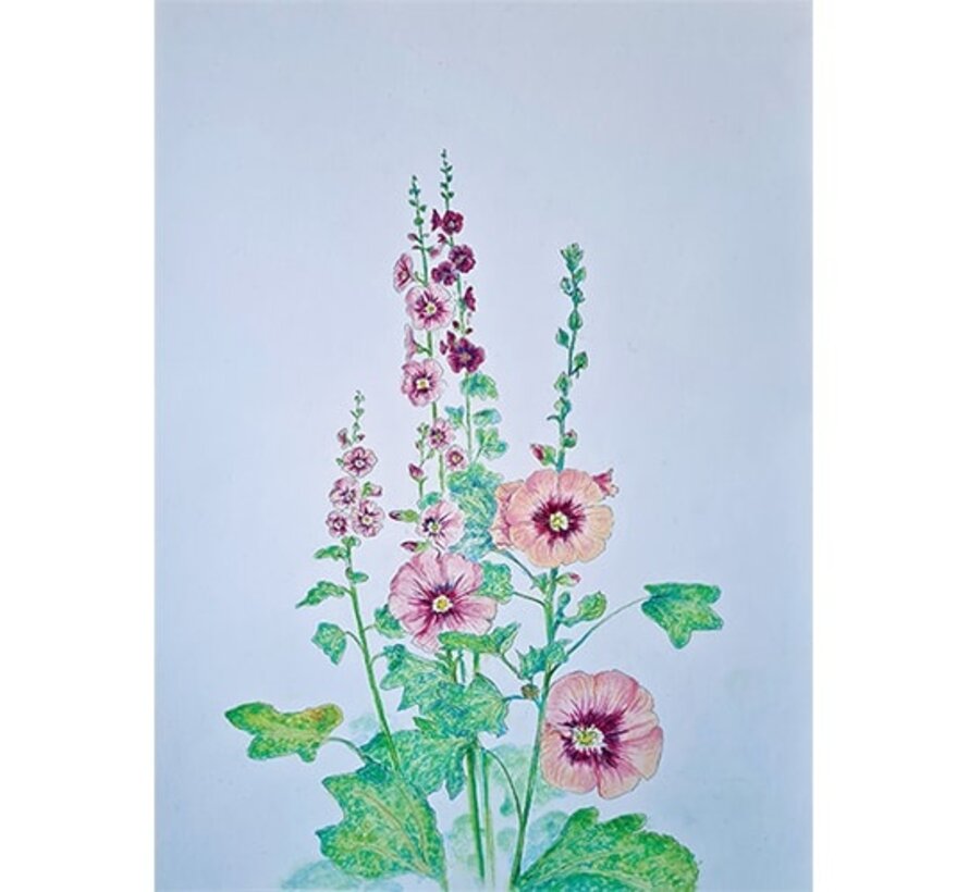 Minikaartje Stokroos