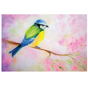 Minikaartje Pimpelmeesje