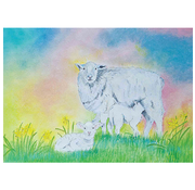 Ansichtkaart Schaap met Lammetjes