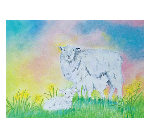 Ansichtkaart Schaap met Lammetjes
