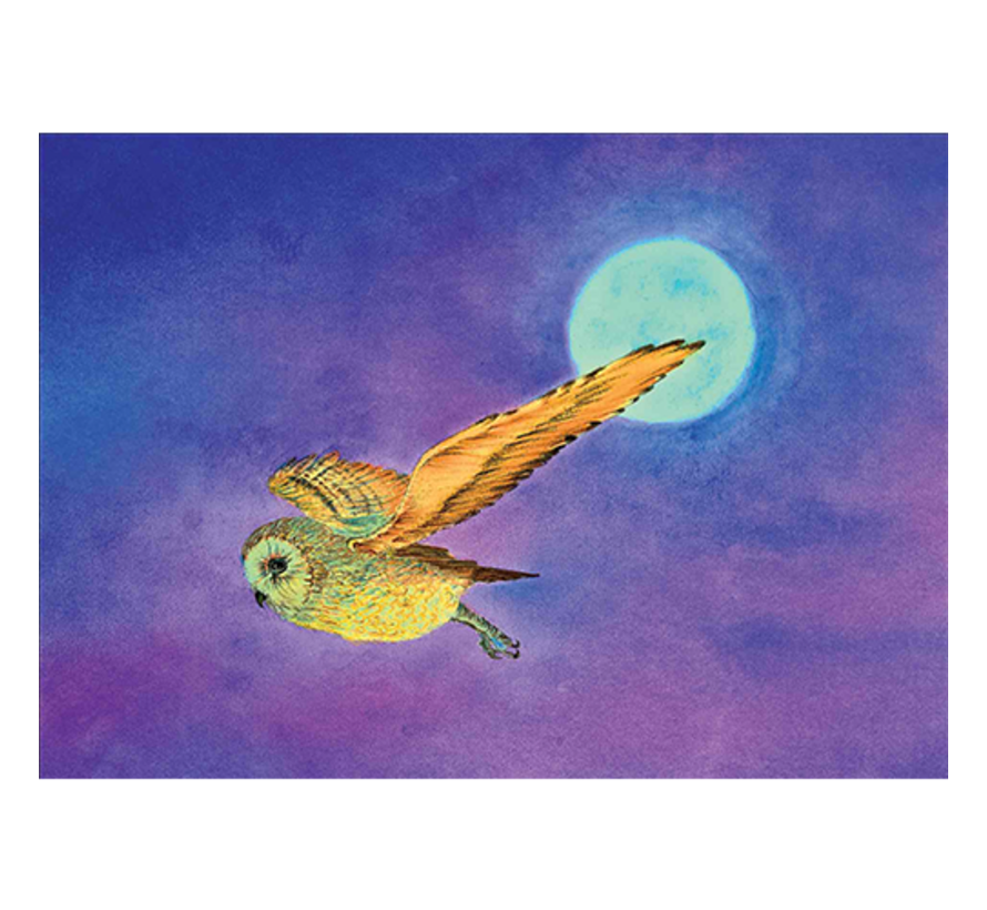 Ansichtkaart Uil bij Volle Maan