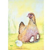 Ansichtkaart Kip met Kuikens