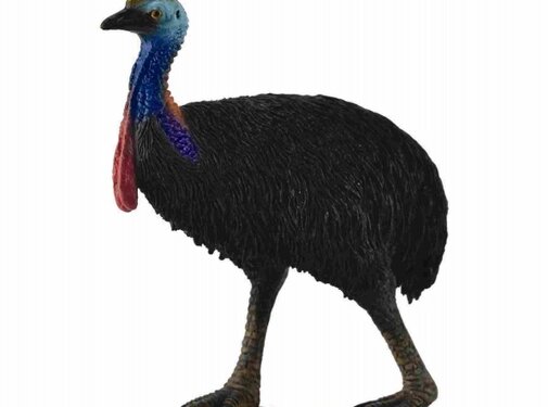 Collecta Casuarius 88651