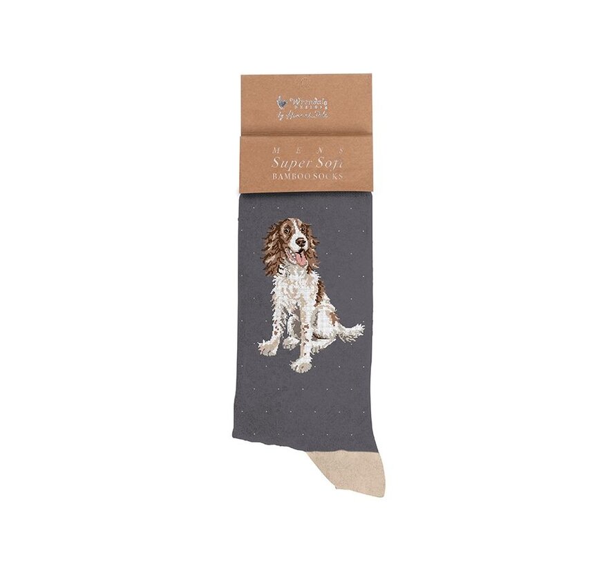 Socks - Spaniel Men's Sock - Willow
