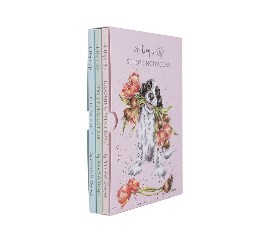 Set of 3 Notebooks - A Dog's Life