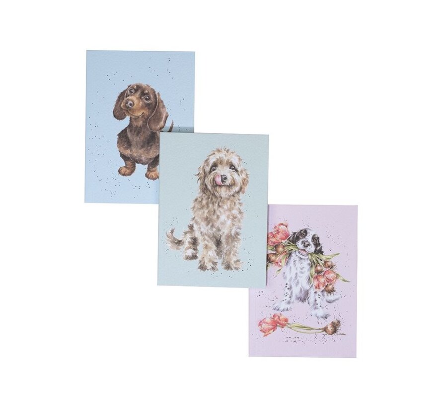 Set of 3 Notebooks - A Dog's Life