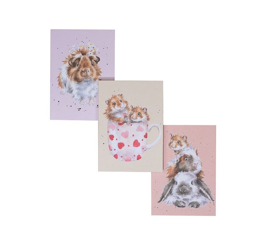 Set of 3 Notebooks - Whiskers and Paws