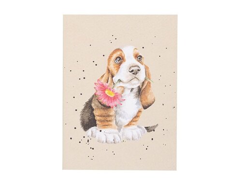 Wrendale Designs A6 Dog Notebook - Just for You
