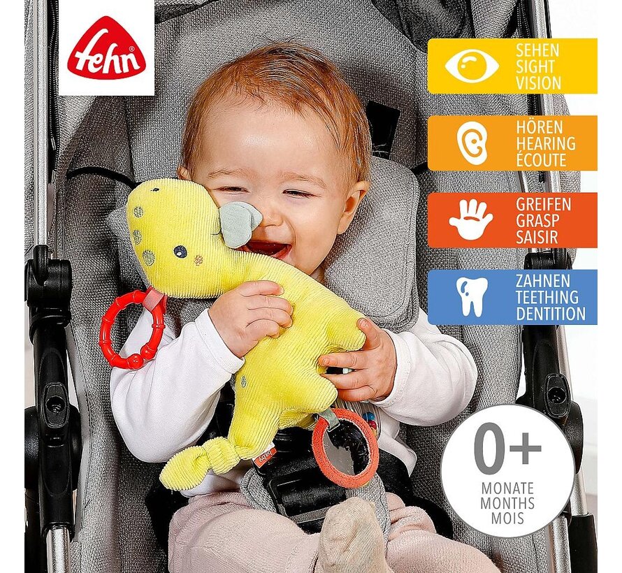 Activity dino with ring