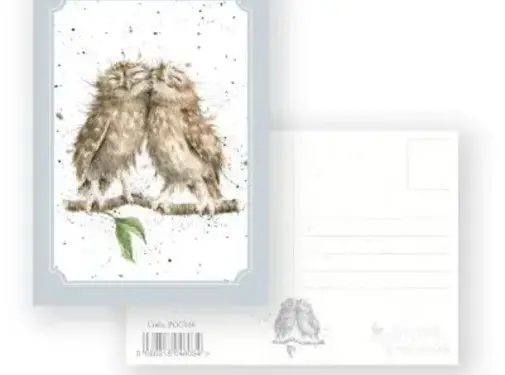 Wrendale Designs Anniversary Owls - Postcard