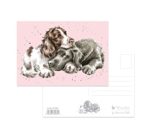 Wrendale Designs Growing Old Together Postcard - Dog