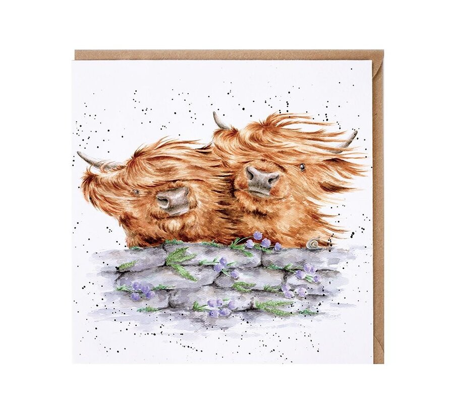 Blown Away (Highland Cows)