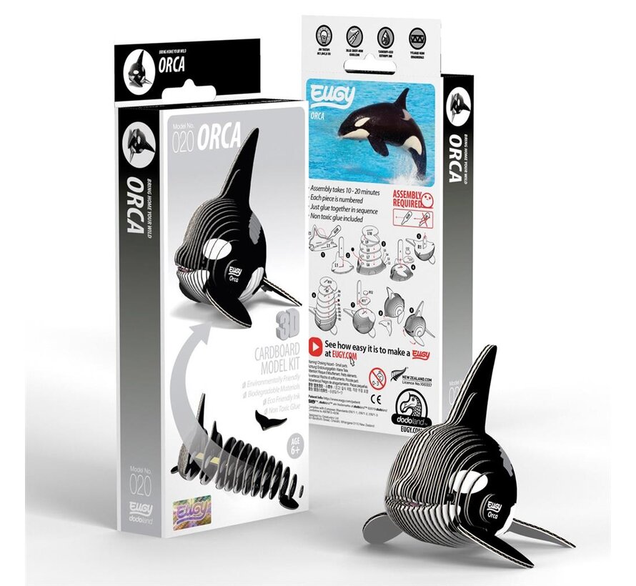 3D Cardboard Model Kit