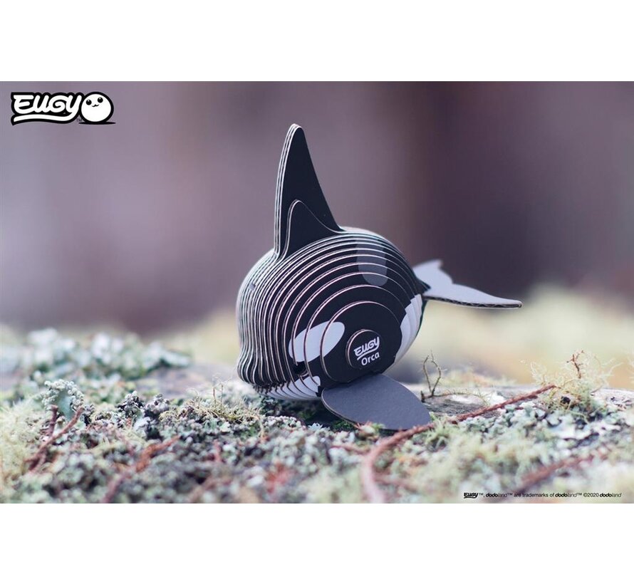 3D Cardboard Model Kit