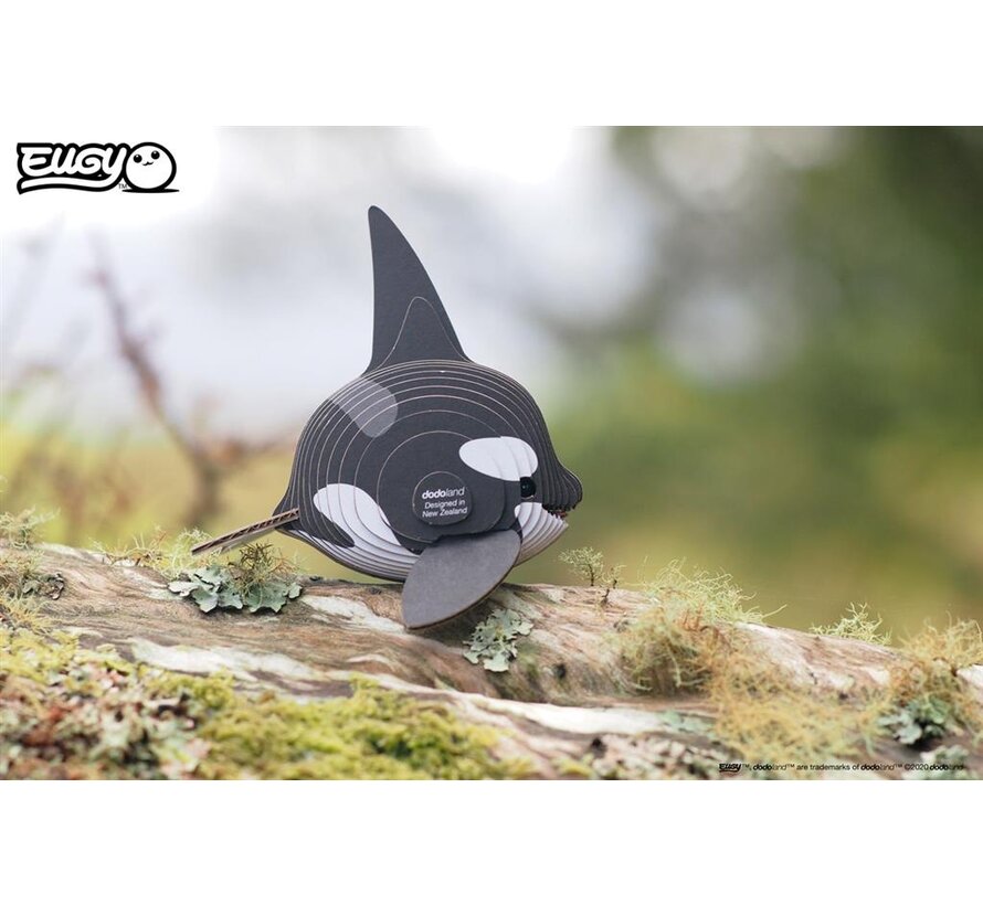 3D Cardboard Model Kit