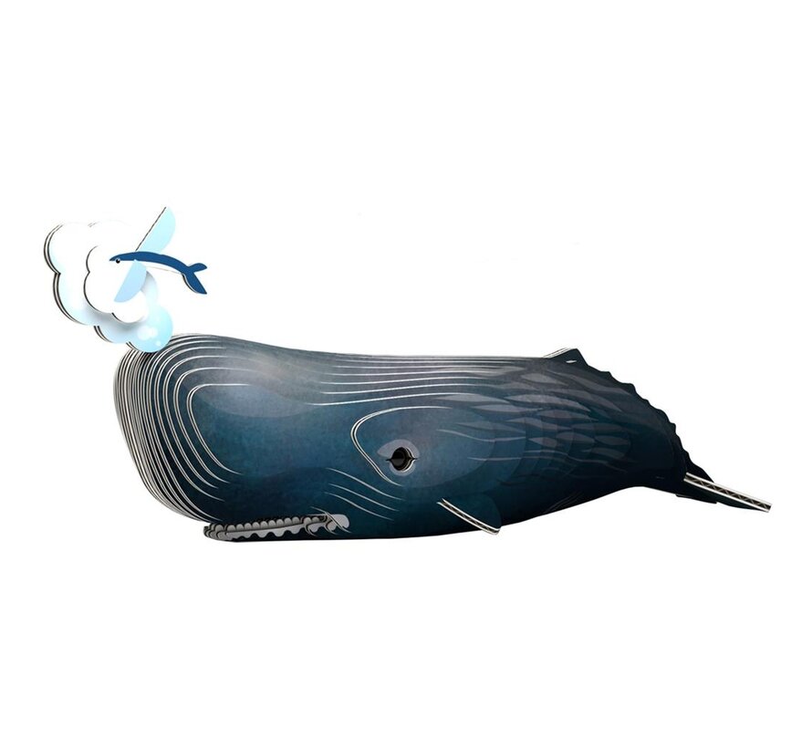 3D Cardboard Model Sperm Whale