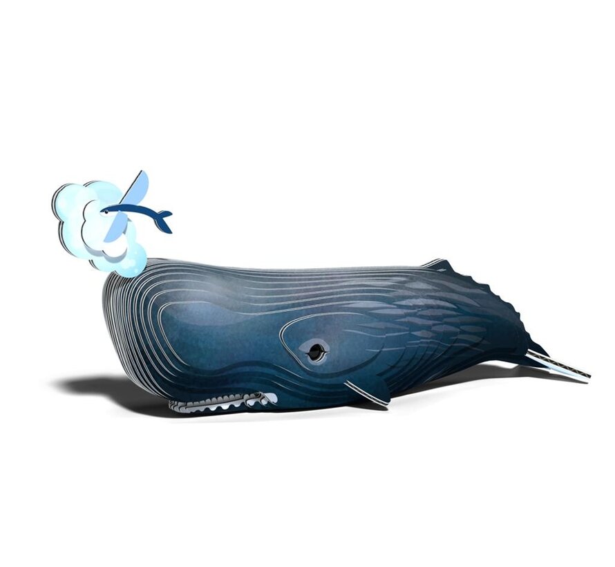 3D Cardboard Model Sperm Whale