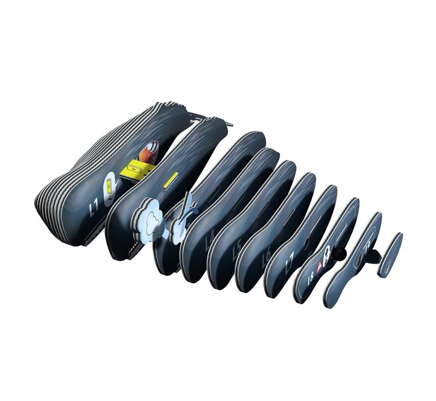 3D Cardboard Model Sperm Whale