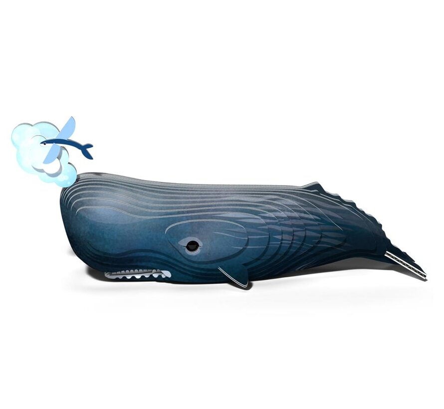 3D Cardboard Model Sperm Whale