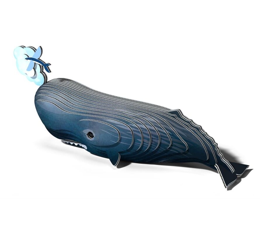 3D Cardboard Model Sperm Whale