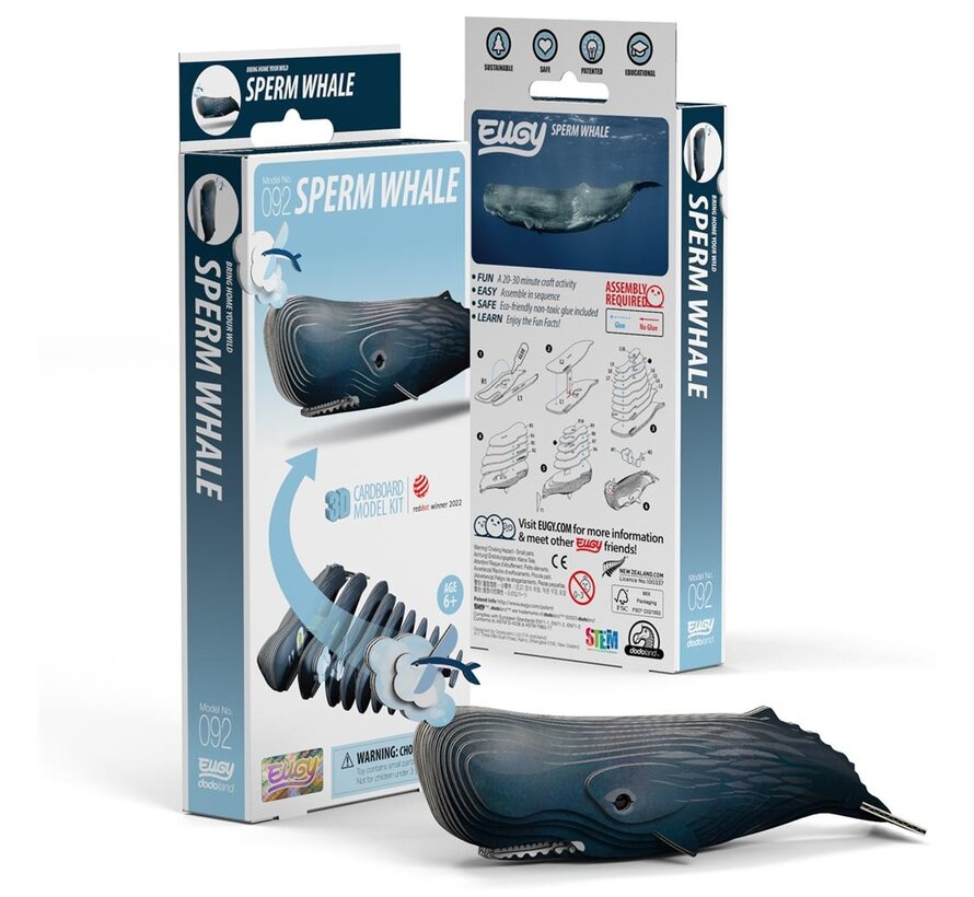 3D Cardboard Model Sperm Whale