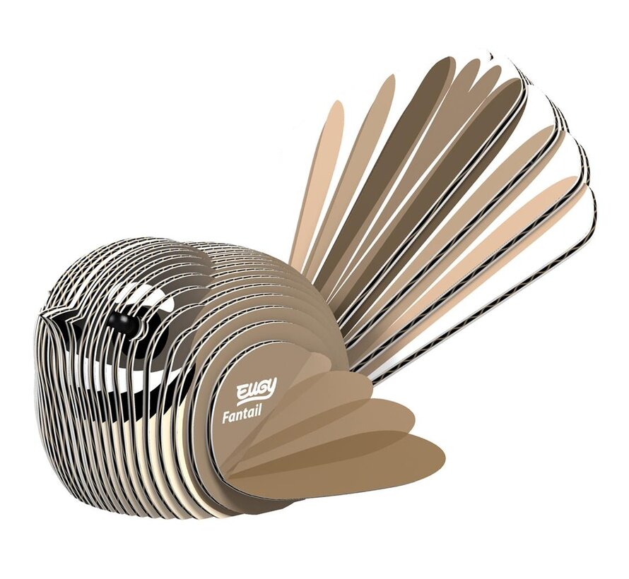 3D Cardboard Model Fantail
