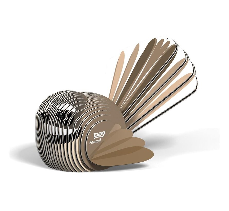 3D Cardboard Model Fantail