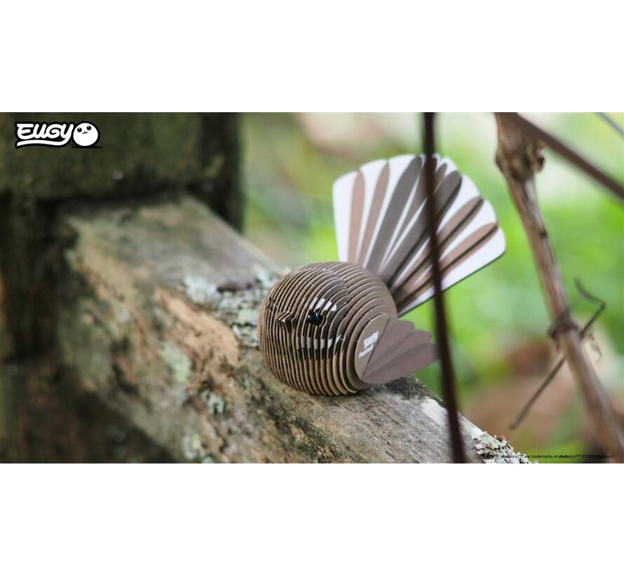 3D Cardboard Model Fantail