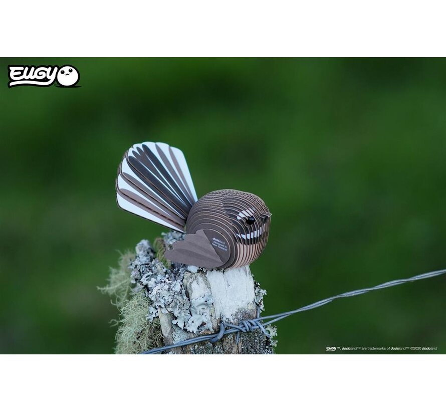 3D Cardboard Model Fantail