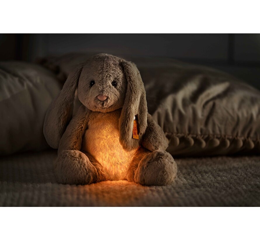 Hoppie Rabbit Light 28cm