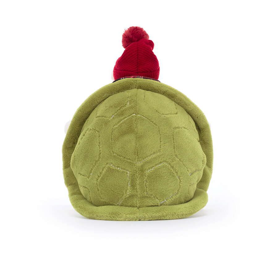Snowman Timmy Turtle