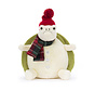 Snowman Timmy Turtle