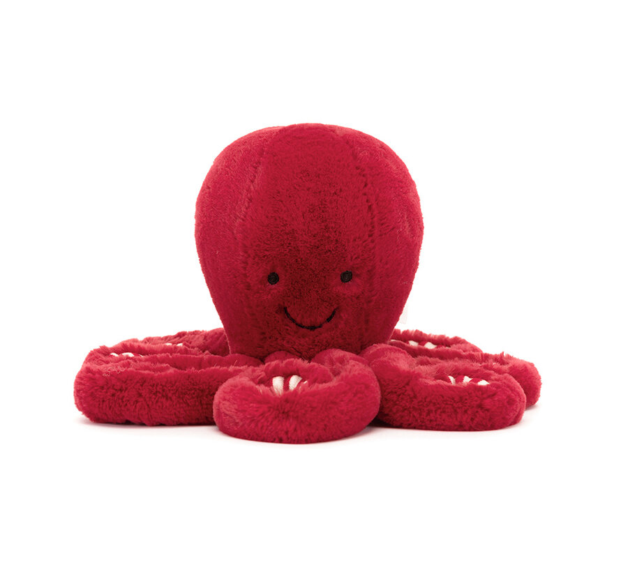 Cranberry Octopus Little
