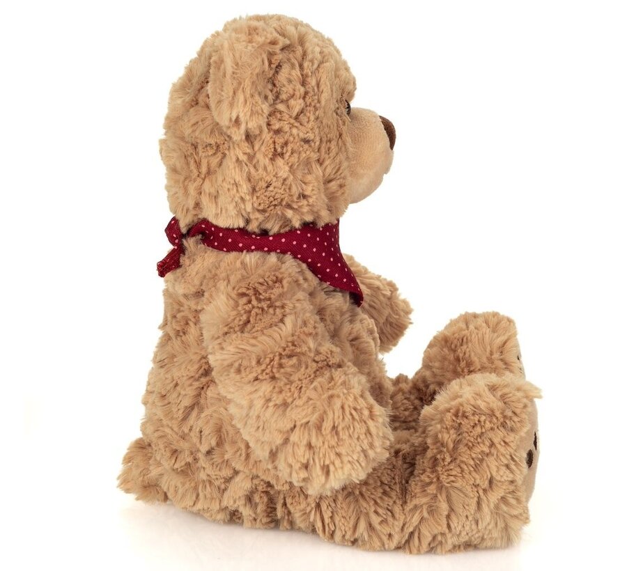 Soft Toy Teddy Curtis with shawl 30cm