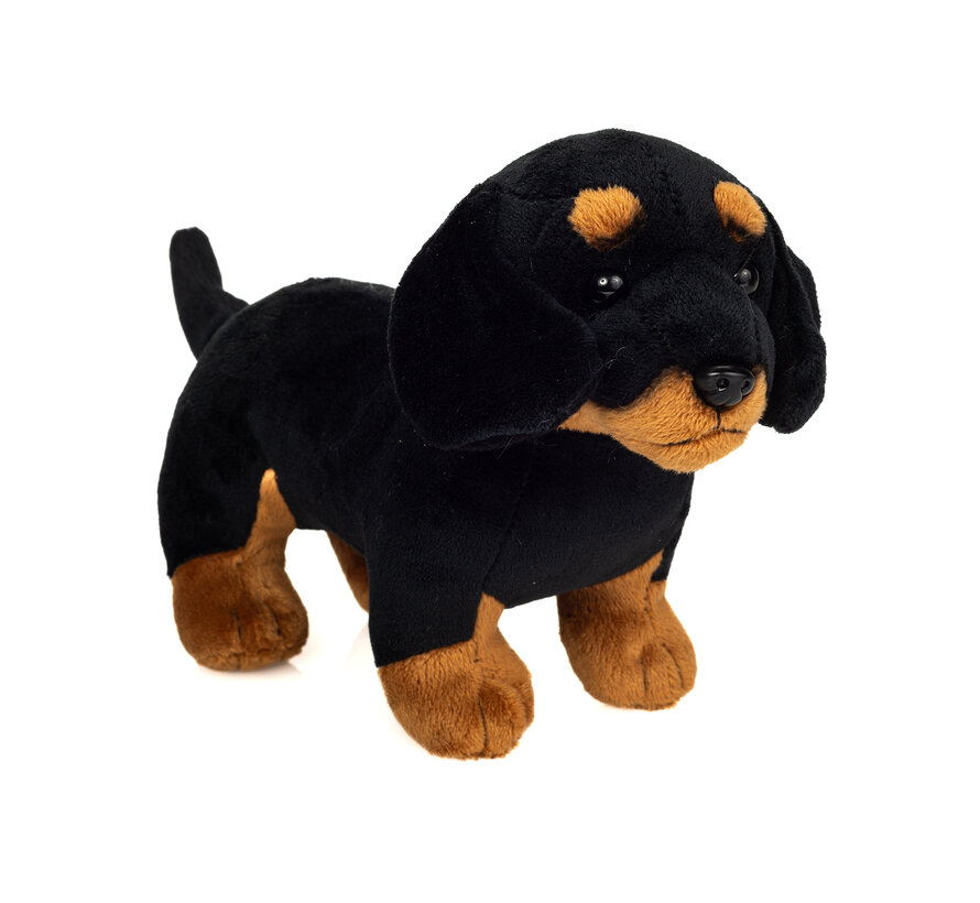 Cuddle Dachshund Standing 3-colors. kind. 21 cm