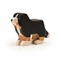 Bernese Mountain Dog Medium