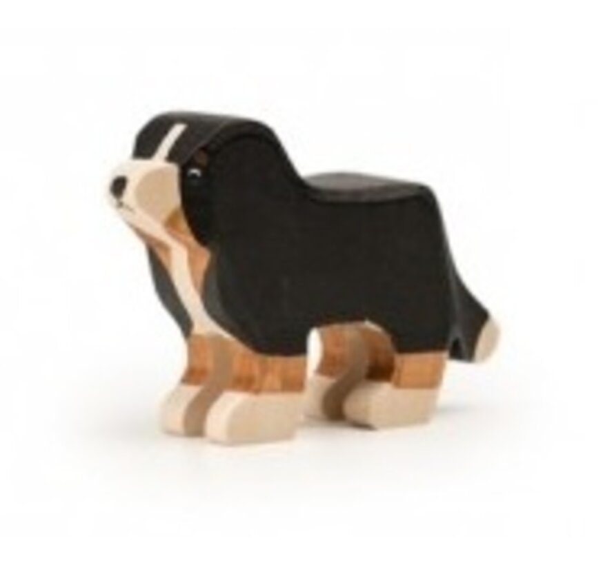 Bernese Mountain Dog Medium