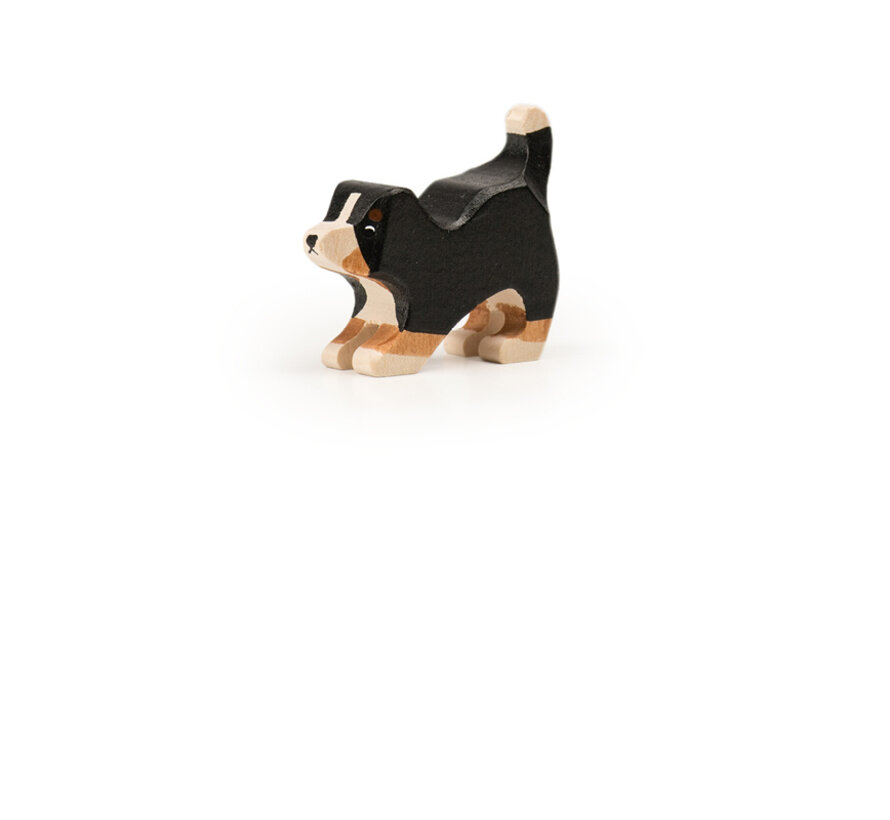 Bernese Mountain Dog Playing Puppy