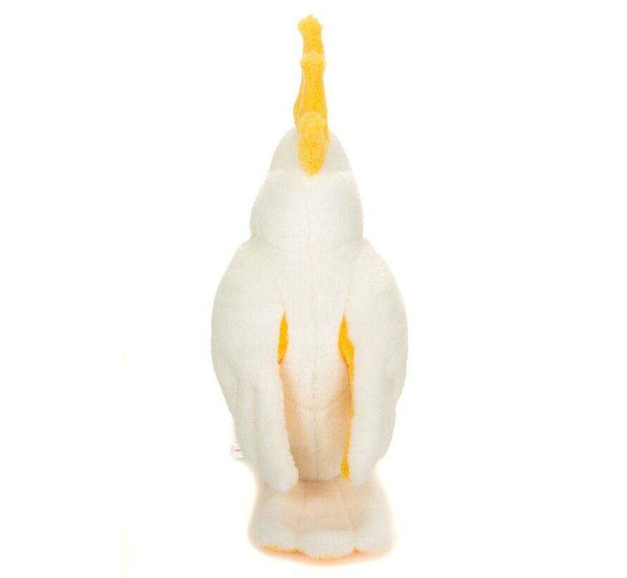 Cuddly Cockatoo 23cm