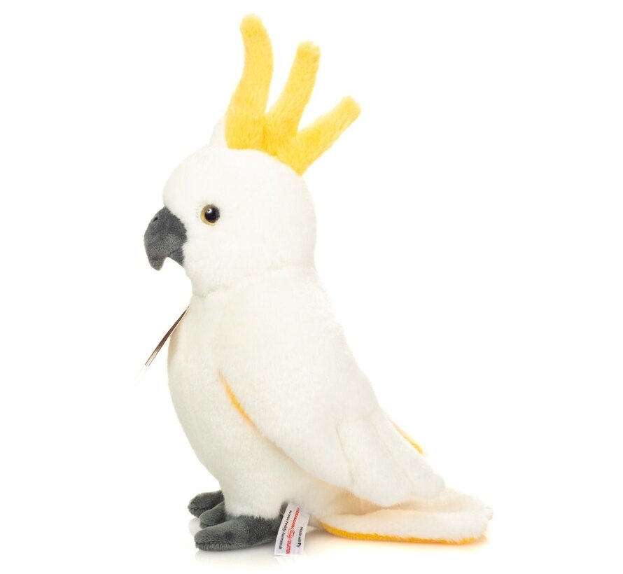 Cuddly Cockatoo 23cm