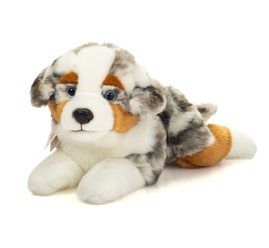 Knuffel Australian Shepherd Liggend 40cm