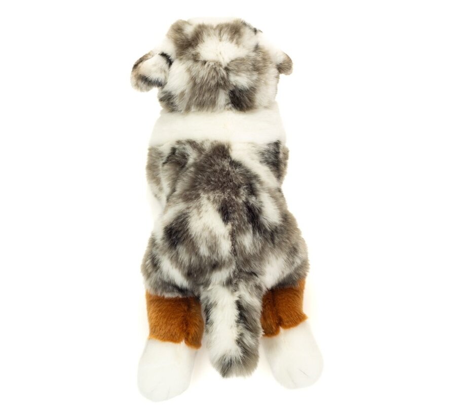 Knuffel Australian Shepherd Liggend 40cm