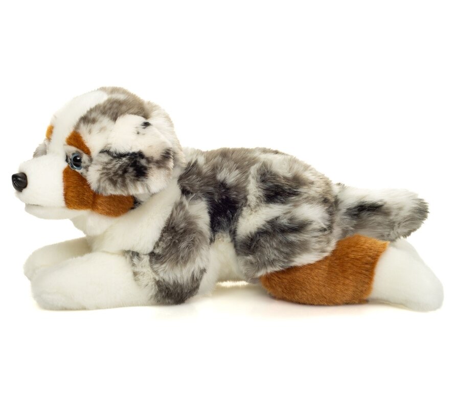 Cuddly toy Australian Shepherd Lying 40cm