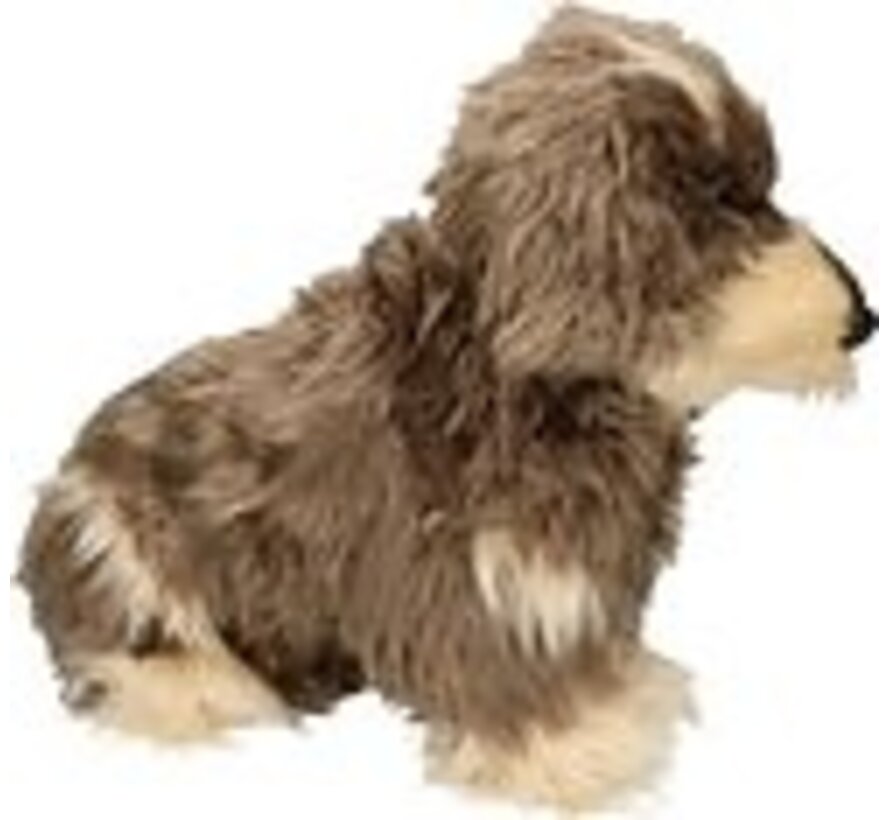 Knuffel Ruwharige Teckel Zottel groot 45cm