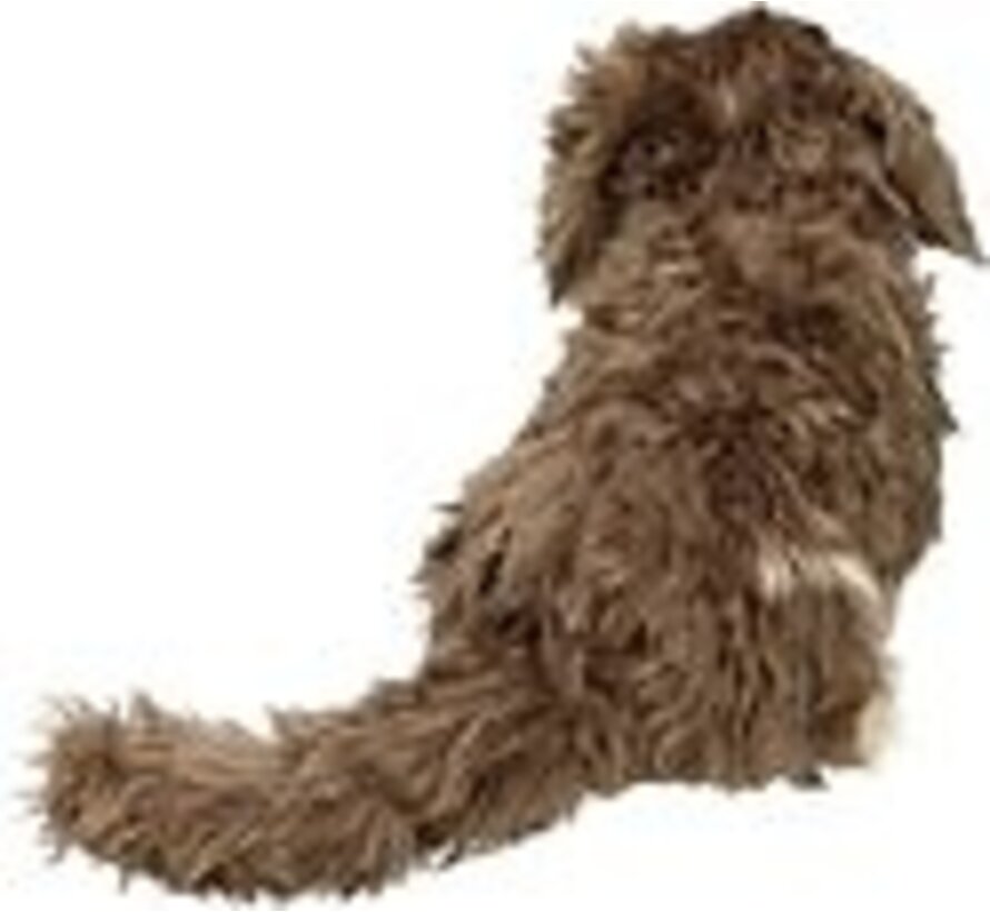 Knuffel Ruwharige Teckel Zottel groot 45cm