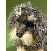 Förster Knuffel Ruwharige Teckel Zottel klein 19cm