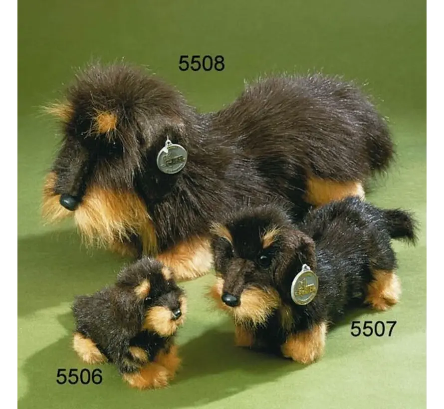 Knuffel Ruwharige Teckel groot 45cm