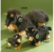 Förster Knuffel Ruwharige Teckel klein 26cm