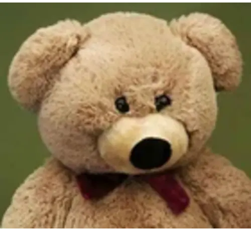 Förster Knuffel Beer medium 55cm