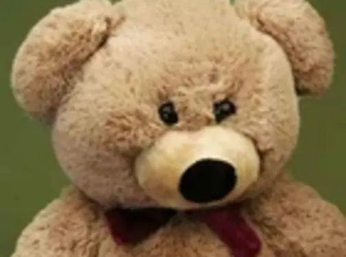 Förster Knuffel Beer medium 55cm